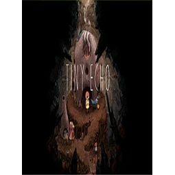 TINY ECHO STEAM KEY GLOBAL