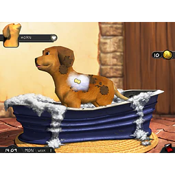 MY BEST FRIENDS - CATS & DOGS STEAM KEY GLOBAL