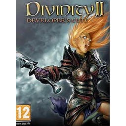 DIVINITY II: DEVELOPER'S CUT STEAM KEY GLOBAL