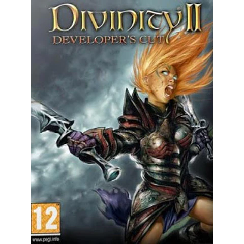 DIVINITY II: DEVELOPER'S CUT STEAM KEY GLOBAL