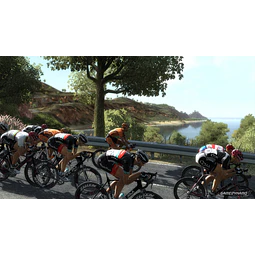 PRO CYCLING MANAGER 2013 STEAM KEY GLOBAL