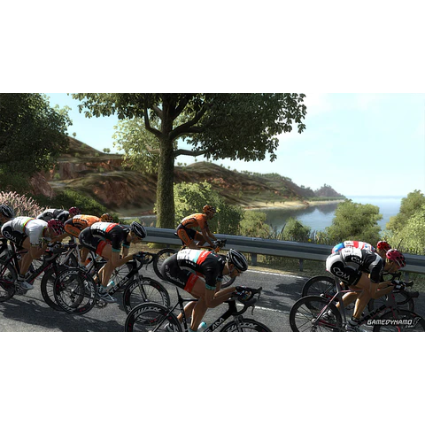 PRO CYCLING MANAGER 2013 STEAM KEY GLOBAL