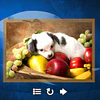 PUPPY DOG: JIGSAW PUZZLES STEAM KEY GLOBAL