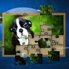 PUPPY DOG: JIGSAW PUZZLES STEAM KEY GLOBAL