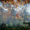 UNRAVEL (XBOX ONE) - XBOX LIVE KEY - GLOBAL