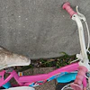 Bicicleta da "Soy Luna"