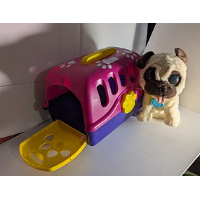 Transportadora + cão