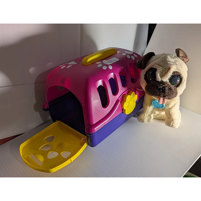 Transportadora + cão