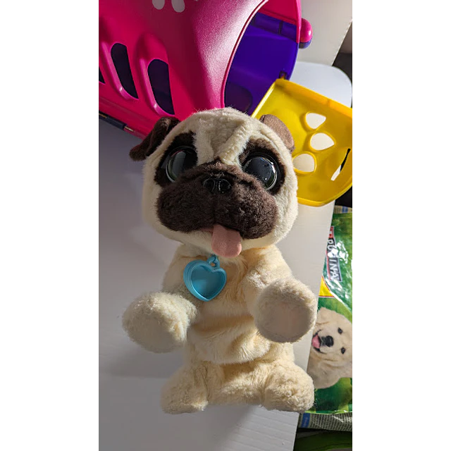 Transportadora + cão