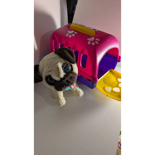 Transportadora + cão