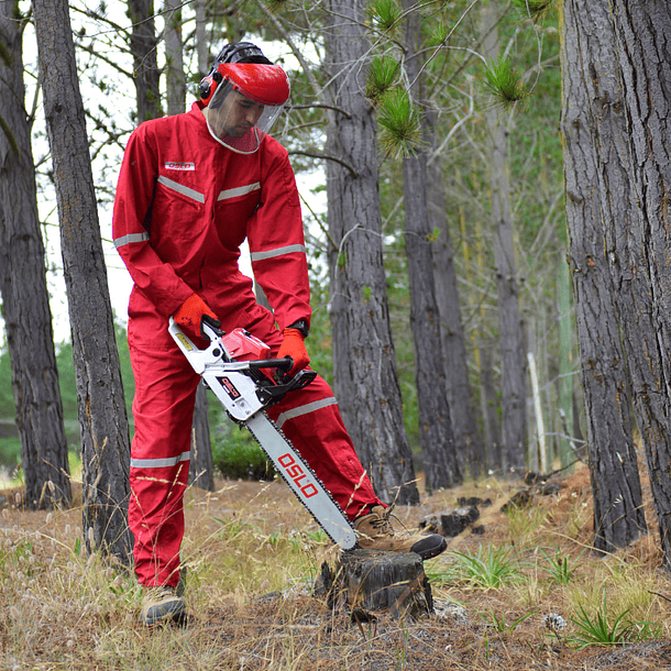 Motosierra 5800ms-20-3/8