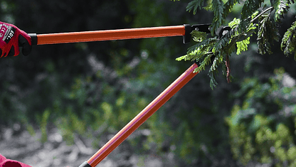 Guía básica para mantener tu jardín libre de las plagas 