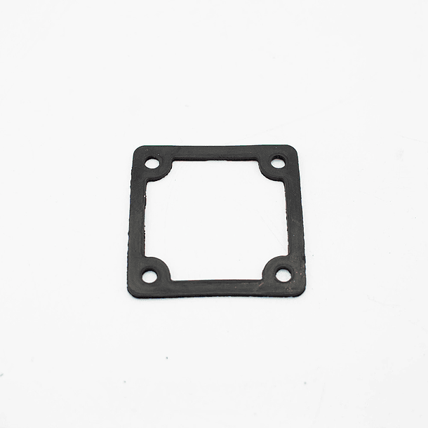 Empaquetadura motor para Motobombas 1