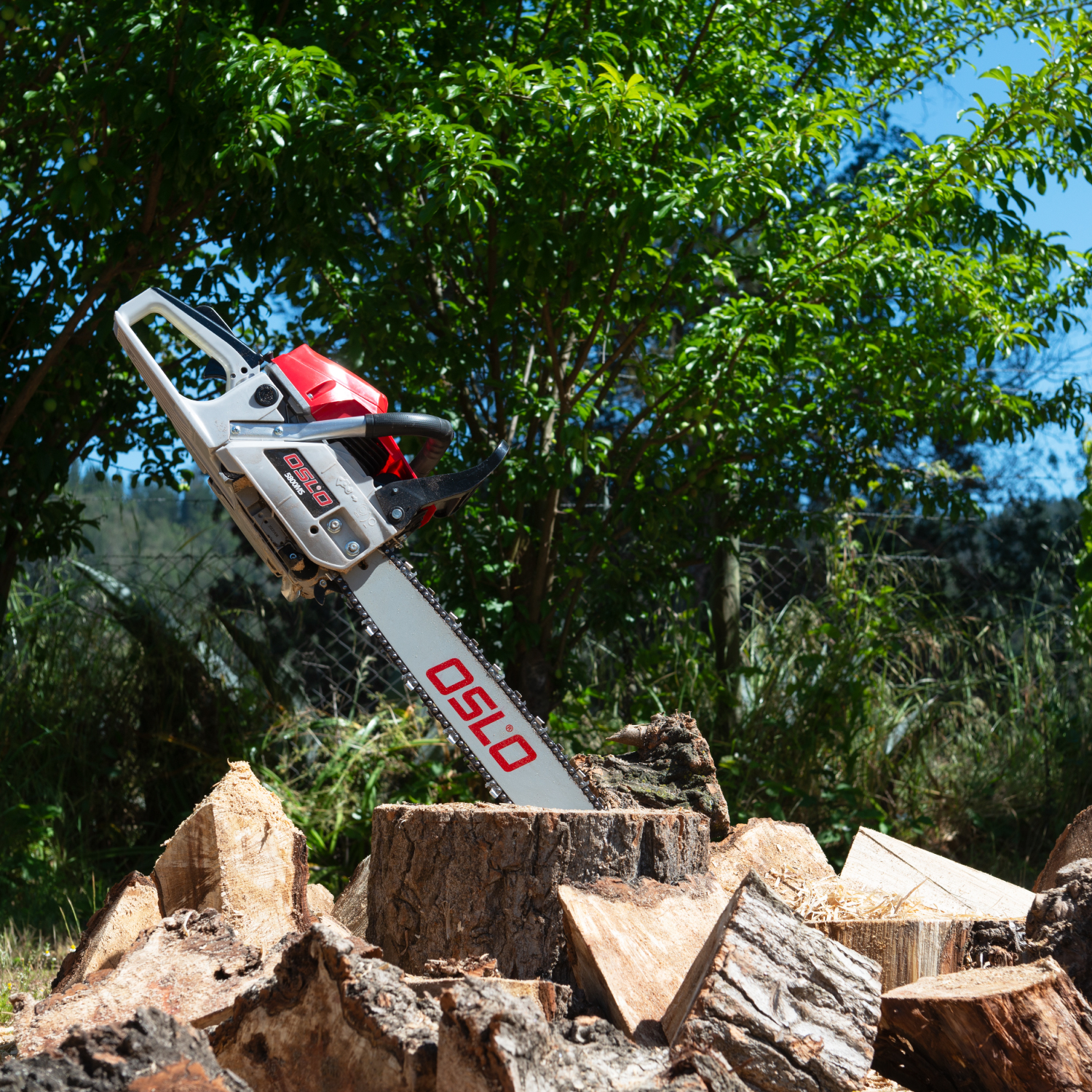 MOTOSIERRA 5800MS-20-3/8 2T OSLO® | Oslo®: Herramientas y