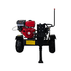 Astilladora de Troncos SX 22TON 15 Hp 2