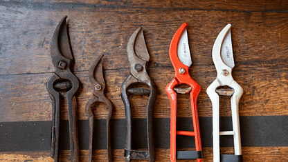 La Evolución de las Tijeras de Podar: Precisión y Durabilidad con Oslo®