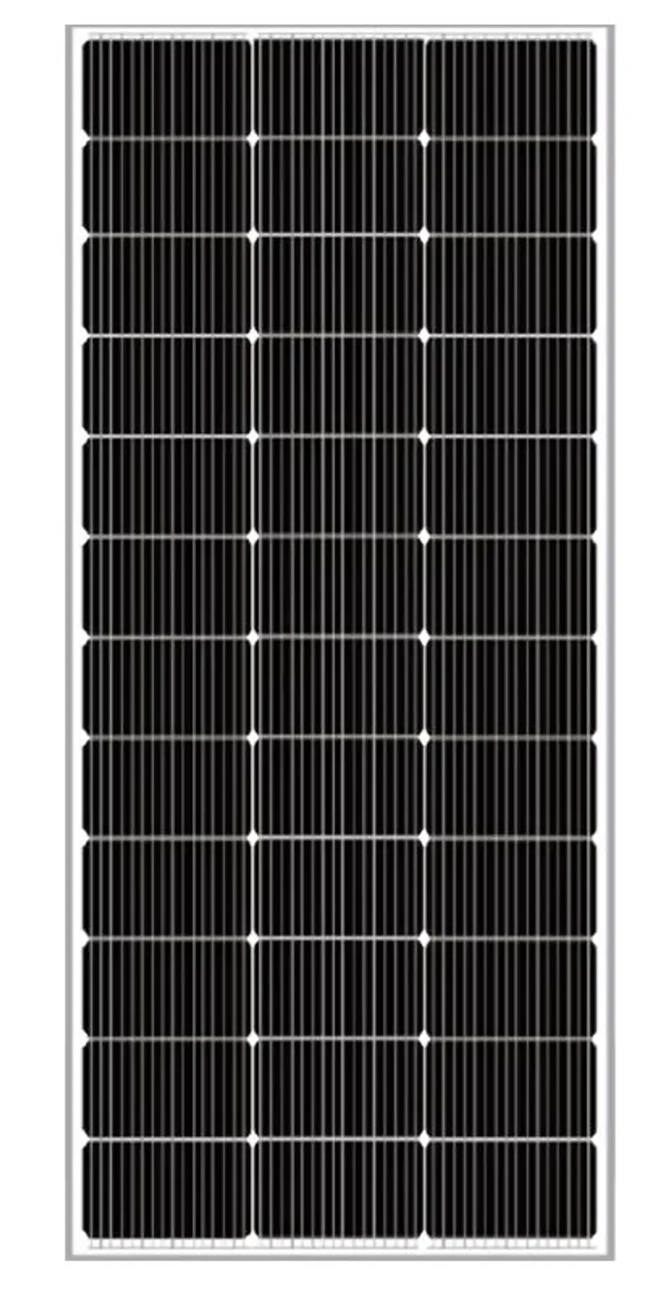Panel Solar Monocristalino 170W 1
