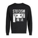 Poleron Sousou No Frieren Varios Modelos