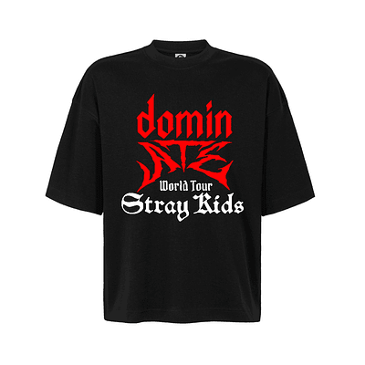 Polera Oversize Stray Kids Sk World Tour Kpop Felix Varios Modelos