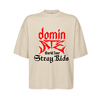 Polera Oversize Stray Kids Sk World Tour Kpop Felix Varios Modelos