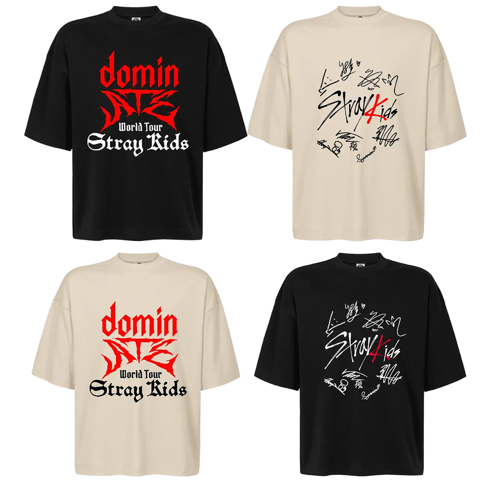 Polera Oversize Stray Kids Sk World Tour Kpop Felix Varios Modelos