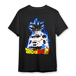 Poleras Dragon Ball  Varios Diseños C