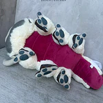 Peluche Appa Avatar Aang