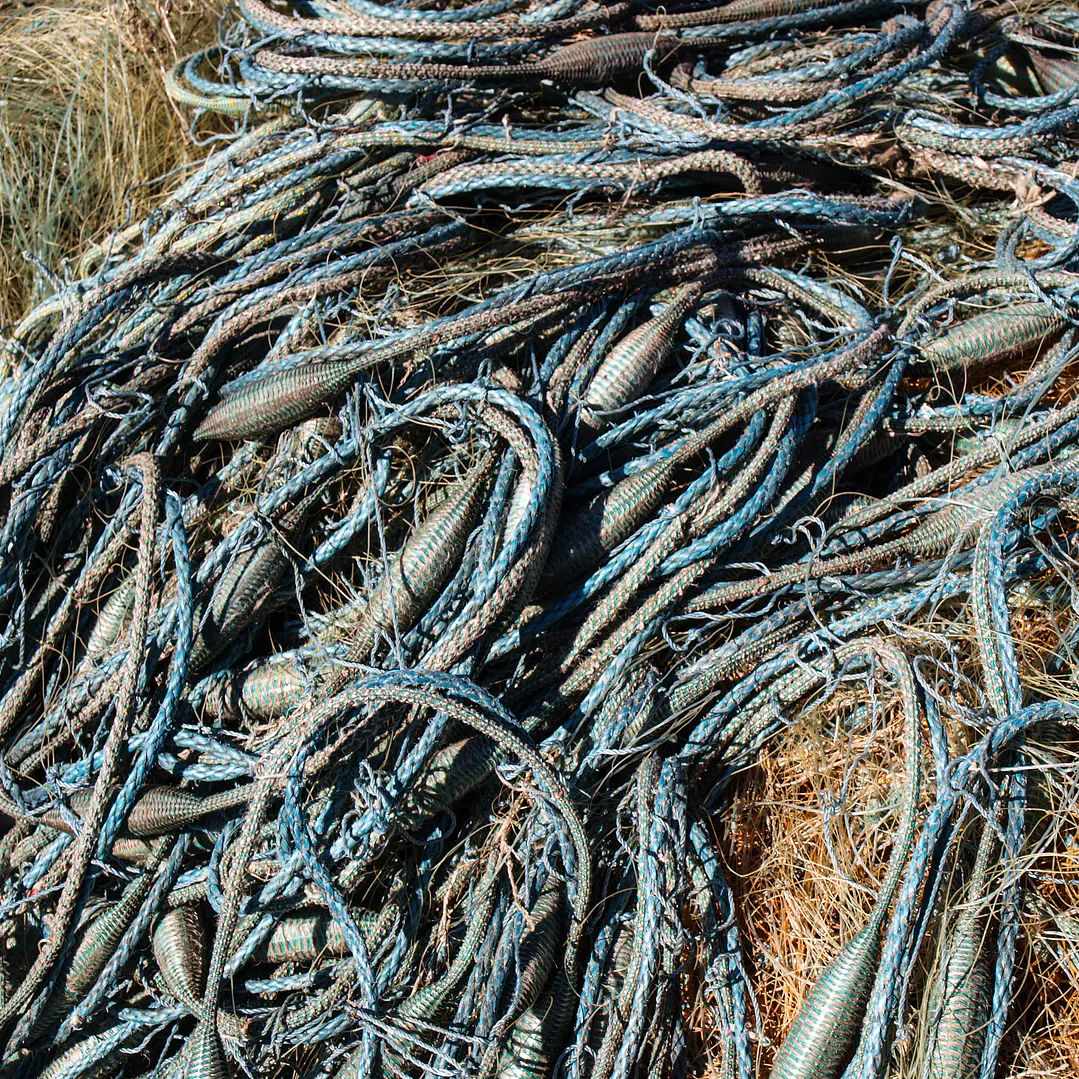 Sustentabilidad en Cultivos Acuícolas 1