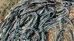 Sustentabilidad en Cultivos Acuícolas