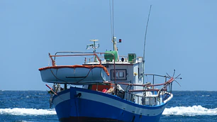 Sustentabilidad en la Actividad Pesquera