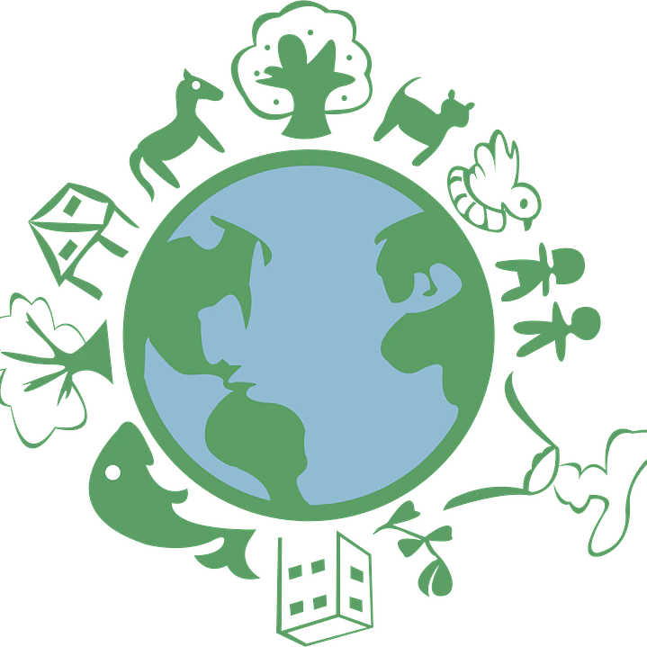 Responsabilidad Social y Sustentabilidad Empresarial 1