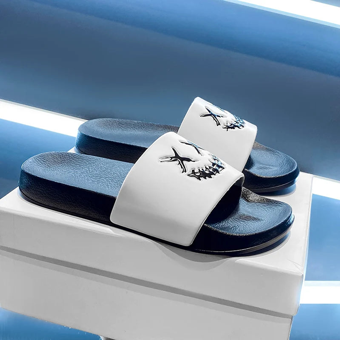 Blake- Soft Slides 4