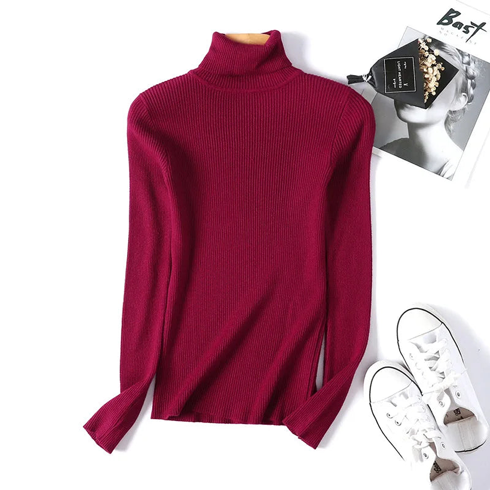Evania- Turtleneck Knitted Sweater 31