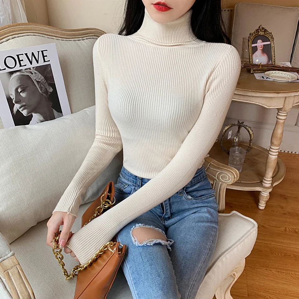 Evania- Turtleneck Knitted Sweater 36