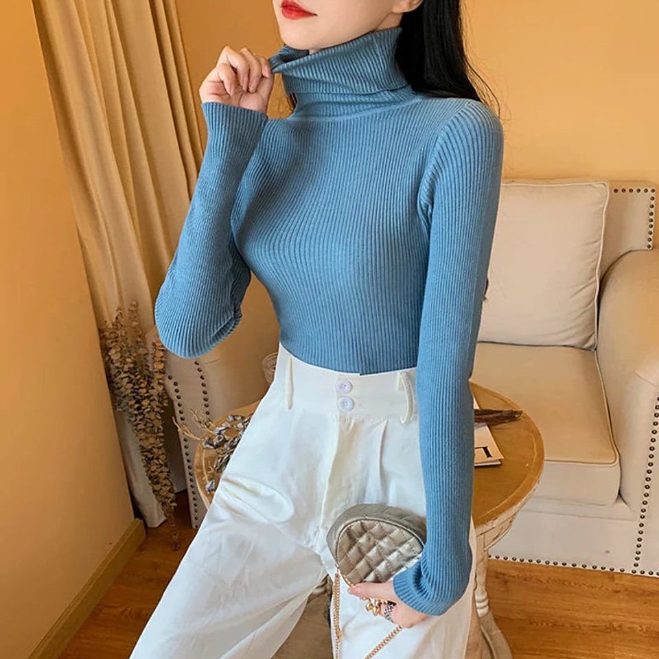 Evania- Turtleneck Knitted Sweater 38