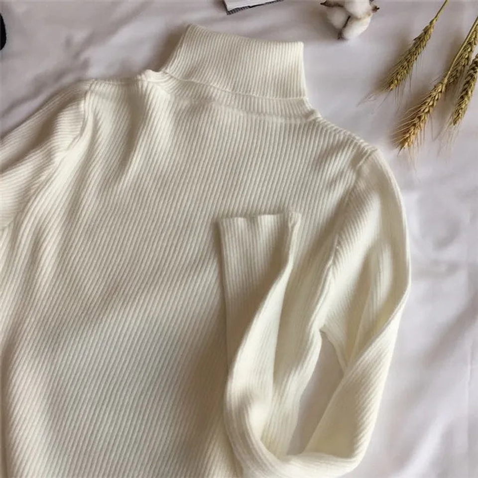 Calliope- Turtleneck Sweater 26