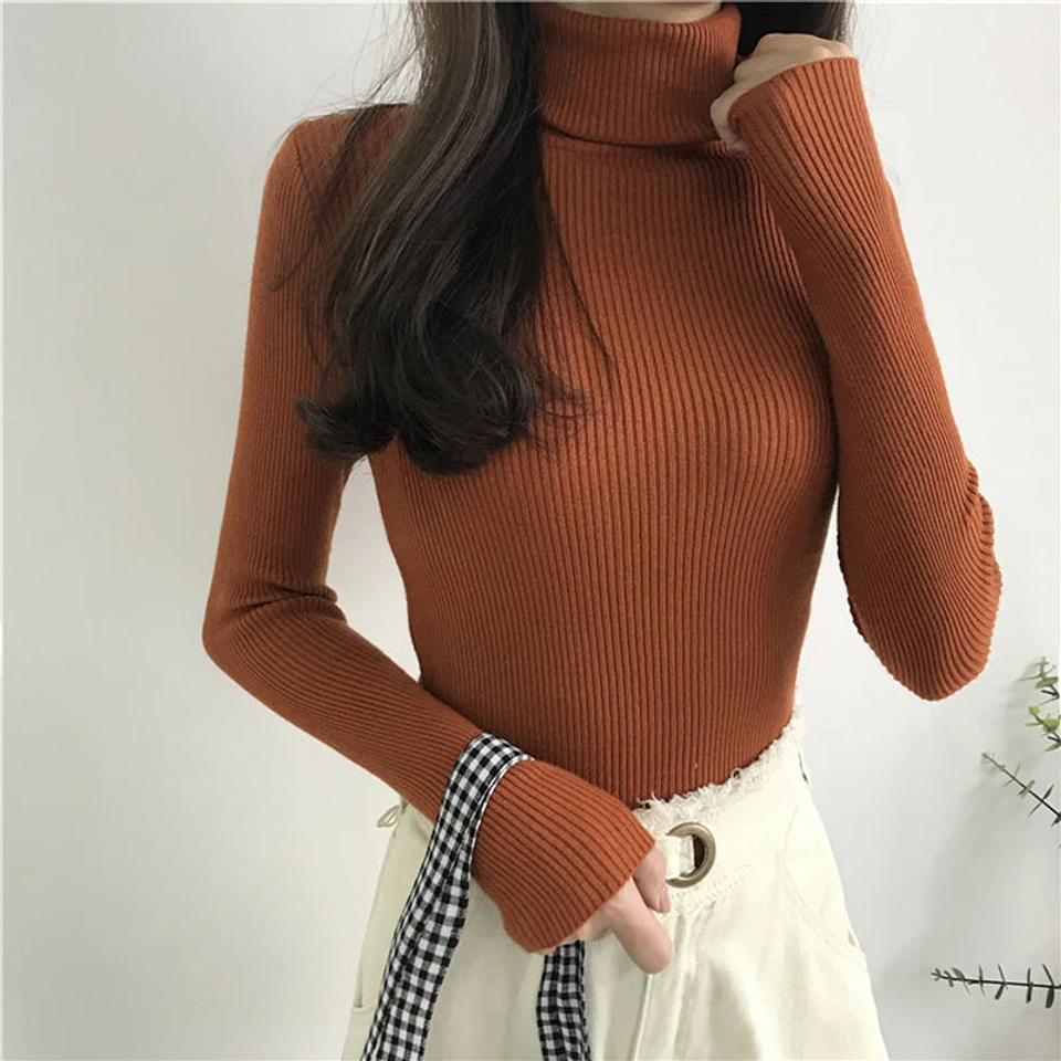 Calliope- Turtleneck Sweater 1
