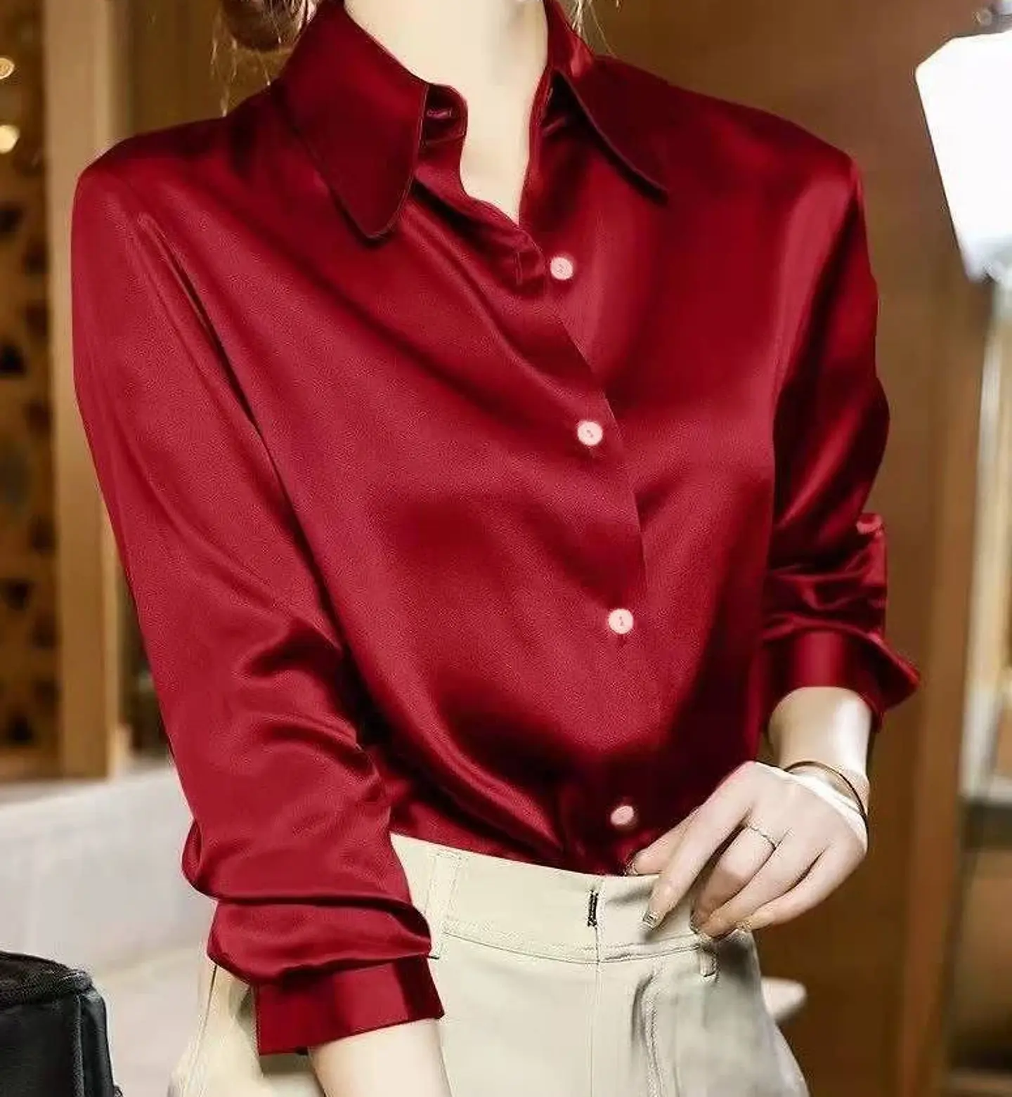 Robyn- Elegant Blouse 2