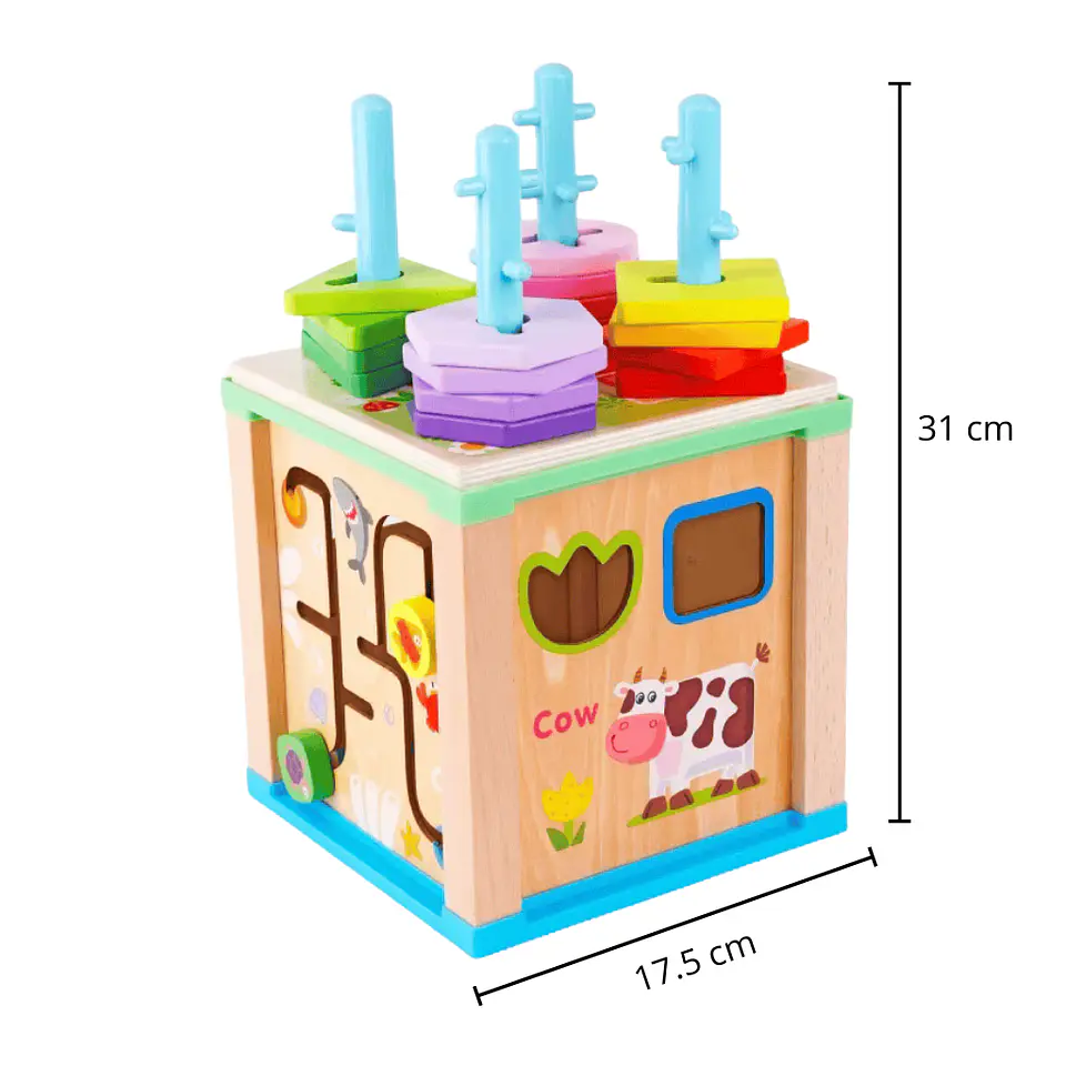 Cubo Didáctico 2