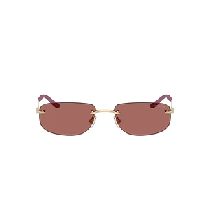 Arnette 0AN3096 Rose Gold
