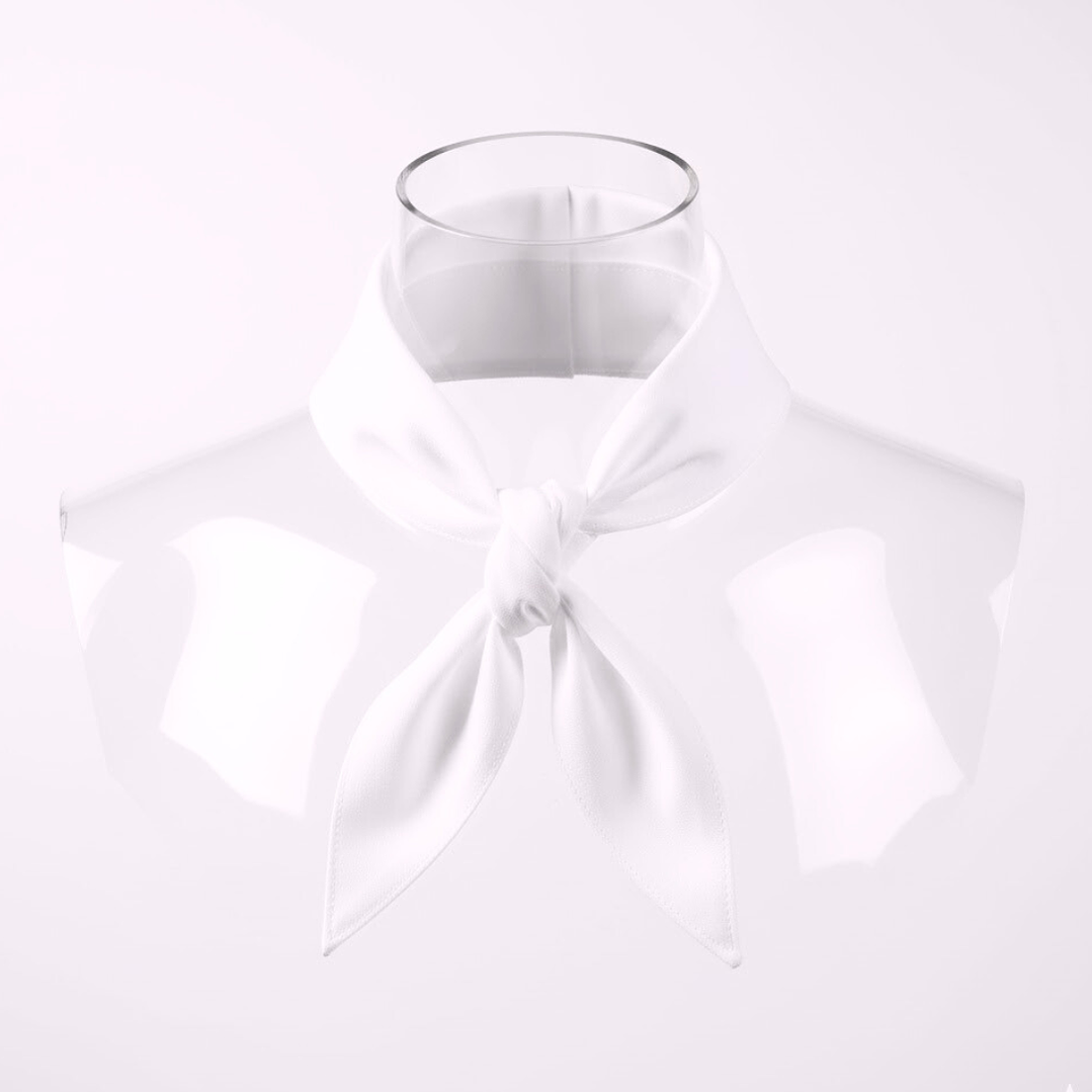 Pañuelo de Cuello Profesional para Chef 3