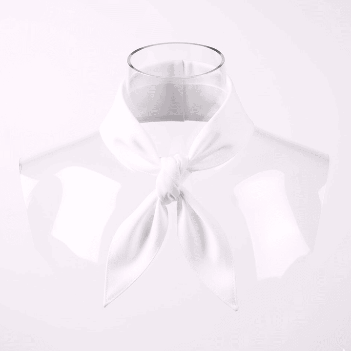 Pañuelo de Cuello Profesional para Chef 3