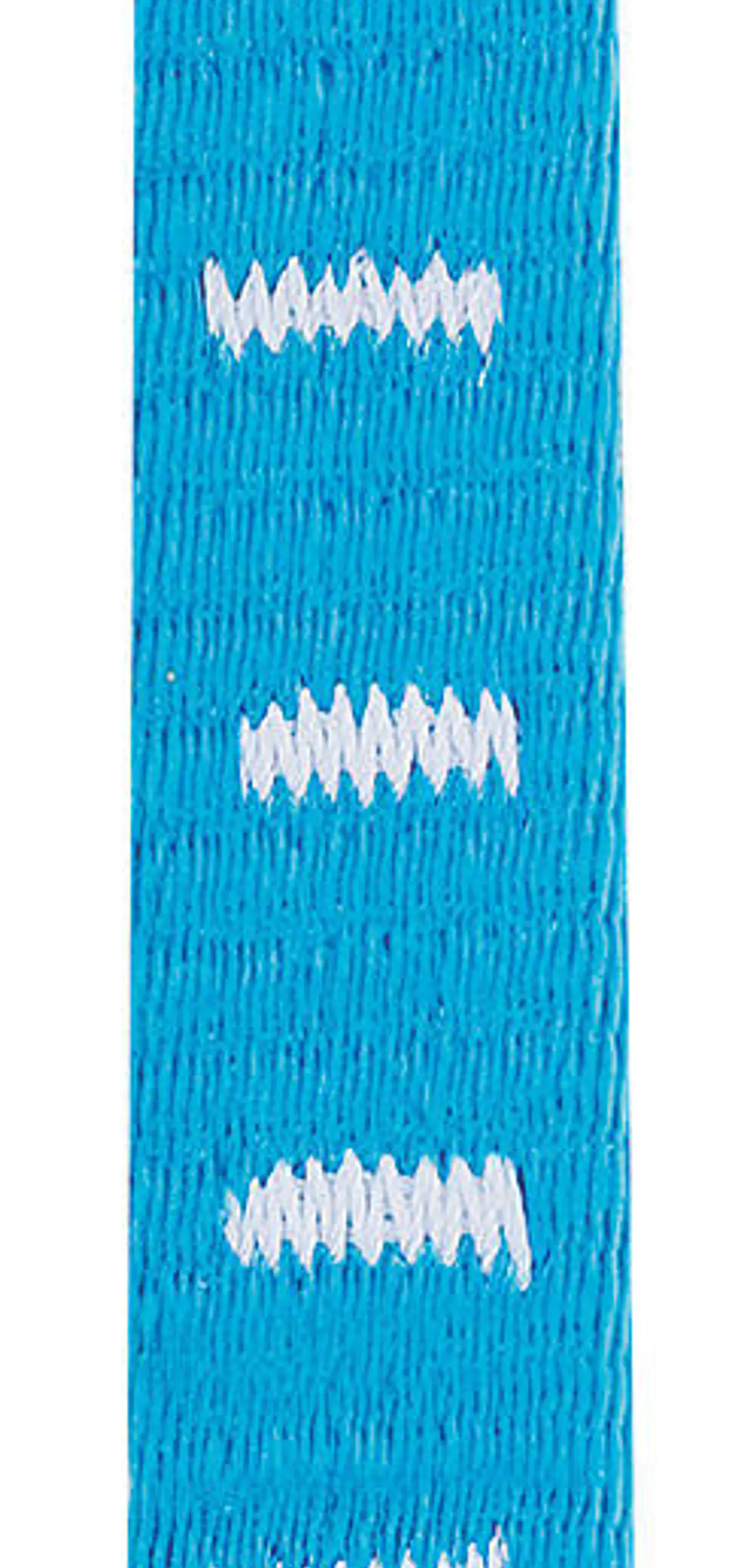 Cinta Petzl AXESS con String 17 Cms 1