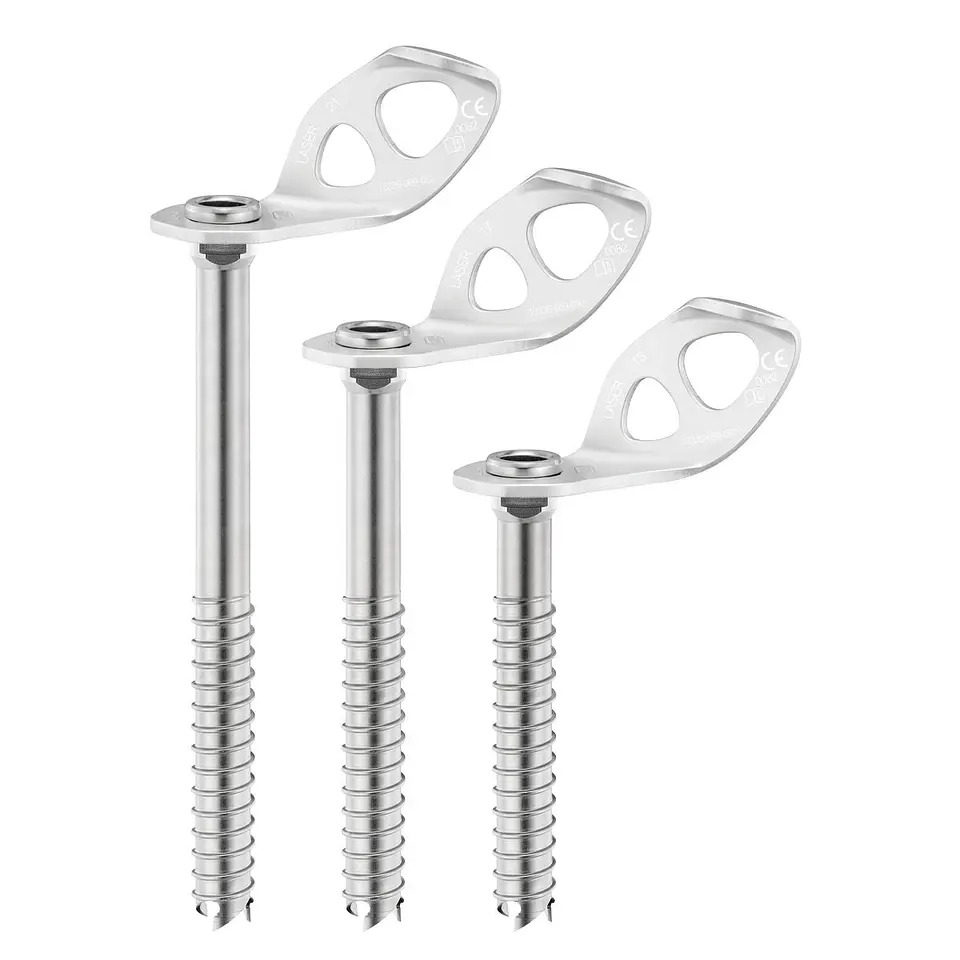 Tornillo Laser Petzl 1