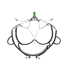 Arnés Regulable Aspir Talla Unica 3