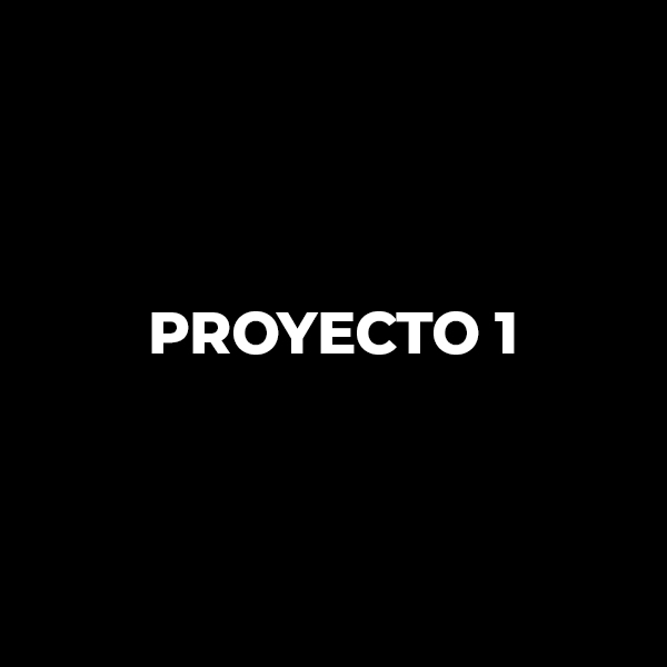 Proyecto 1