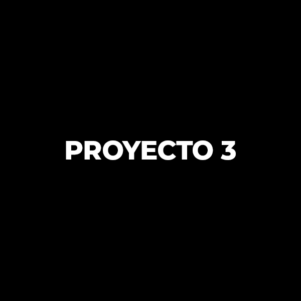 Proyecto 3