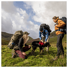 Pantalón Mujer Fjällräven Abisko Trail Stretch HD 16