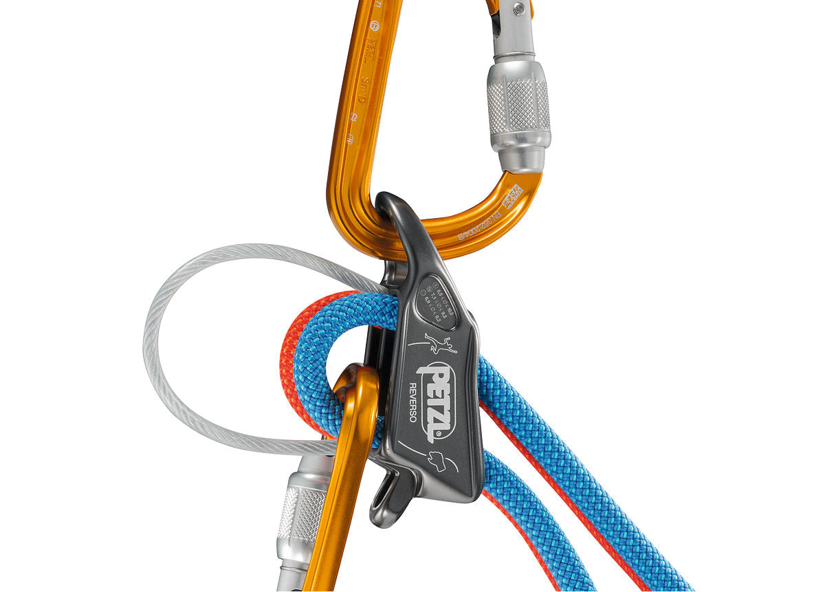 Asegurador REVERSO® Petzl 4