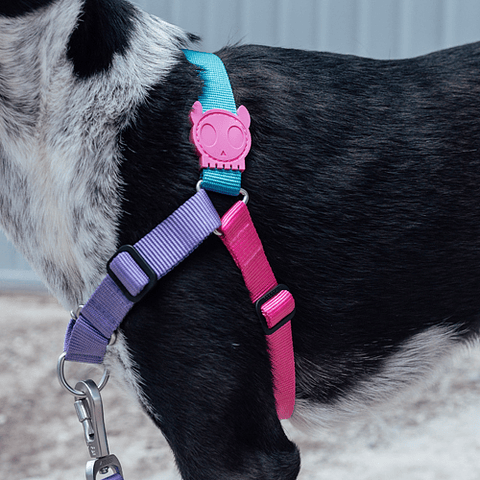 Arnés Soft Walk Aurora